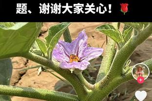 不太理想！赵继伟半场8投仅1中&三分5中1拿到3分3篮板3助攻